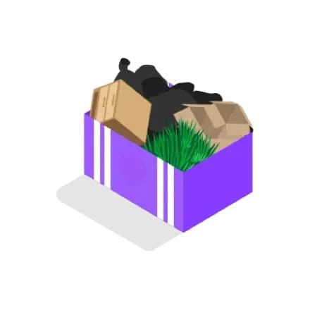Skip Bags